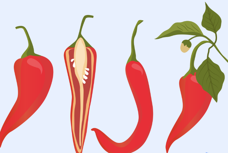 How Does Capsaicin Work for Pain.png